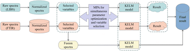 Graphical abstract: Performing parameter optimization and variable selection simultaneously in Fourier transform infrared and laser-induced breakdown spectroscopy data fusion