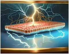 Graphical abstract: Innovative electrode and chip designs for transendothelial electrical resistance measurements in organs-on-chips