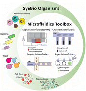 Graphical abstract: Integrating microfluidics and synthetic biology: advancements and diverse applications across organisms