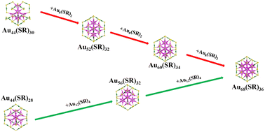 Graphical abstract: Structural predictions of three medium-sized thiolate-protected gold nanoclusters Au44(SR)30, Au56(SR)32, and Au60(SR)34