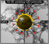 Graphical abstract: Optical properties of NIR photoluminescent PbS nanocrystal-based three-dimensional networks