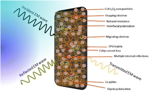 Graphical abstract: Optimization of CoFe2O4 nanoparticles and graphite fillers to endow thermoplastic polyurethane nanocomposites with superior electromagnetic interference shielding performance