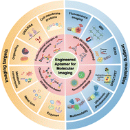 Graphical abstract: Engineered aptamers for molecular imaging