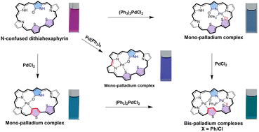 Graphical abstract: Mono- and bis-Pd(ii) complexes of N-confused dithiahexaphyrin(1.1.1.1.1.0) with the absorption and aromaticity modulated by Pd(ii) coordination, macrocycle contraction and ancillary ligands