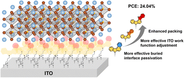 Graphical abstract: Rational molecular design of multifunctional self-assembled monolayers for efficient hole selection and buried interface passivation in inverted perovskite solar cells