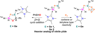 Graphical abstract: Synthesis and reactivity of N-heterocyclic carbene (NHC)-supported heavier nitrile ylides