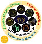 Graphical abstract: Hybrid and composite materials of organic crystals