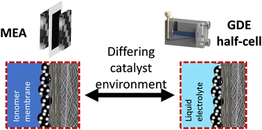 Graphical abstract: Which insights can gas diffusion electrode half-cell experiments give into activity trends and transport phenomena of membrane electrode assemblies?