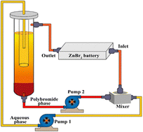 Graphical abstract: Improved coulombic efficiency of single-flow, multiphase flow batteries via the use of strong-binding complexing agents