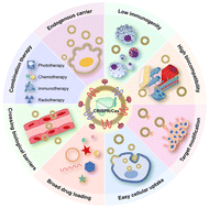 Graphical abstract: Functionalized extracellular nanovesicles as advanced CRISPR delivery systems