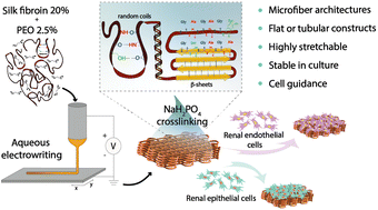 Graphical abstract: Microstructured silk fiber scaffolds with enhanced stretchability