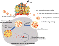 Graphical abstract: Recent advances in near-infrared stimulated nanohybrid hydrogels for cancer photothermal therapy