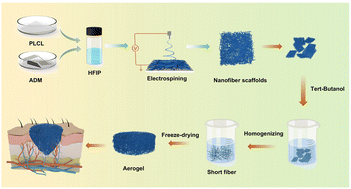 Graphical abstract: Three-dimensional structured PLCL/ADM bioactive aerogel for rapid repair of full-thickness skin defects