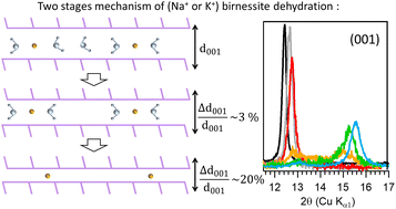 Graphical abstract: The dehydration mechanism of Na and K birnessites: a comprehensive multitechnique study