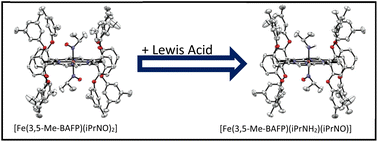 Graphical abstract: Vibrational properties of heme-nitrosoalkane complexes in comparison with those of their HNO analogs, and reactivity studies towards nitric oxide and Lewis acids