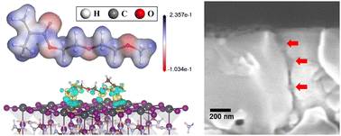 Graphical abstract: Film-forming polymer nanoparticle strategy for improving the passivation and stability of perovskite solar cells