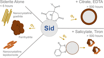 Graphical abstract: Low molecular weight organic acids stabilise siderite against oxidation and influence the composition of iron (oxyhydr)oxide oxidation products