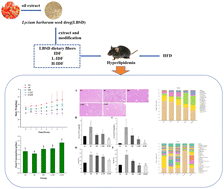 Graphical abstract: Carboxymethylated Lycium barbarum seed dreg dietary fiber alleviates high fat diet-induced hyperlipidemia in mice via intestinal regulation