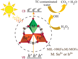 Graphical abstract: Adsorptive and photo-Fenton properties of bimetallic MIL-100(Fe,Sn) and MIL-100(Fe,Ir) MOFs toward removal of tetracycline from aqueous solutions