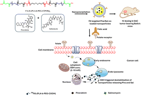 Graphical abstract: Folic acid-targeted redox responsive polylactic acid-based nanoparticles co-delivering pirarubicin and salinomycin suppress breast cancer tumor growth in vivo