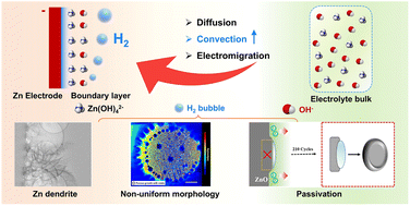 Graphical abstract: Hydrogen bubble evolution and its induced mass transfer on zinc electrodes in alkaline and neutral media
