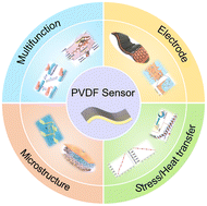 Graphical abstract: External strategies for enhanced sensing performance of self-powered polyvinylidene fluoride-based sensors