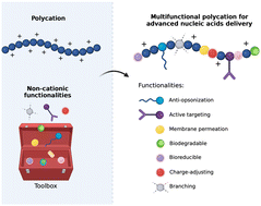 Graphical abstract: Advancing nucleic acid delivery through cationic polymer design: non-cationic building blocks from the toolbox