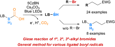 Graphical abstract: The Giese reaction of alkyl bromides using amine carboxyboranes