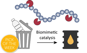 Graphical abstract: Opportunities and challenges for plastic depolymerization by biomimetic catalysis