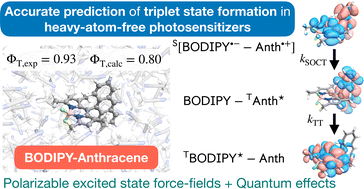 Graphical abstract: Unraveling the mechanisms of triplet state formation in a heavy-atom free photosensitizer