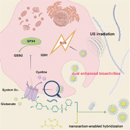 Graphical abstract: A nanocarbon-enabled hybridization strategy to construct pharmacologically cooperative therapeutics for augmented anticancer efficacy