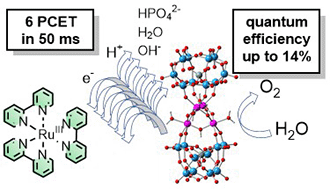 Graphical abstract: Sequential proton coupled electron transfer events from a tetraruthenium polyoxometalate in photochemical water oxidation