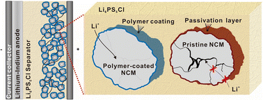 Graphical abstract: Lithiated polymer coating for interface stabilization in Li6PS5Cl-based solid-state batteries with high-nickel NCM