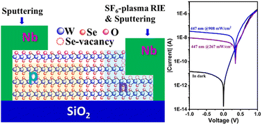 Graphical abstract: Lateral homojunctions of WSe2 through contact surface engineering with SF6 plasma etching