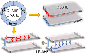 Graphical abstract: Quantum layer spin Hall effect in sliding antiferromagnetic bilayers