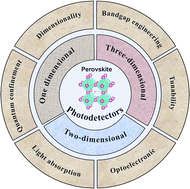 Graphical abstract: Developments in perovskite photodetectors: performance optimization and dimensional diversity