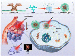 Graphical abstract: NIR-activatable aza-BODIPY nanoparticles for photoacoustic imaging and synergistic NO–photothermal cancer therapy