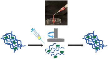 Graphical abstract: Harnessing peptide–cellulose interactions to tailor the performance of self-assembled, injectable hydrogels