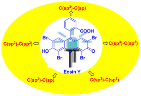 Graphical abstract: The formation reaction of a carbon–carbon bond promoted by Eosin-Y under visible light