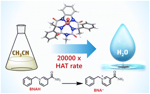 Graphical abstract: Unprecedented HAT rate acceleration in water by a non-heme manganese oxo complex
