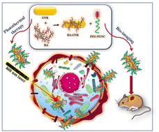 Graphical abstract: Targeted cancer theranostics using a plasmonic gold nanohybrid assembly of chiral ligand stabilized nanorods and protein nanoclusters