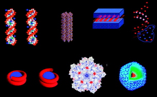 Graphical abstract: Electrostatic interactions in biological DNA-related systems