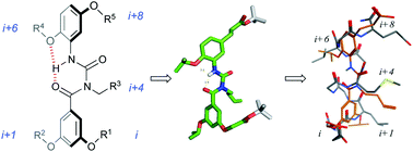 Graphical abstract: Amphiphilic α-helix mimetics based on a benzoylurea scaffold