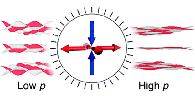 Graphical abstract: Negative area compressibility in silver(i) tricyanomethanide