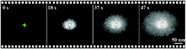 Graphical abstract: In situ study of the growth of two-dimensional palladium dendritic nanostructures using liquid-cell electron microscopy