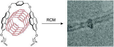 Graphical abstract: Pyrene-based mechanically interlocked SWNTs