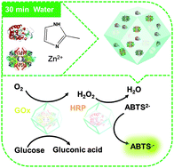 Graphical abstract: Facile synthesis of multiple enzyme-containing metal–organic frameworks in a biomolecule-friendly environment