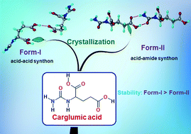 Graphical abstract: Polymorphism in anti-hyperammonemic agent N-carbamoyl-l-glutamic acid