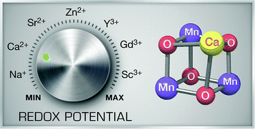 Graphical abstract: Redox potential tuning by redox-inactive cations in nature's water oxidizing catalyst and synthetic analogues