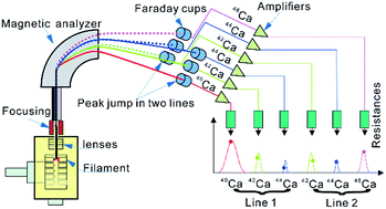 Graphical abstract: Optimization of the double spike technique using peak jump collection by a Monte Carlo method: an example for the determination of Ca isotope ratios